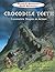 Crocodile Teeth: Geometric Shapes in Action (Mandrill Mountain Math Mysteries)