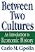 Between Two Cultures: An Introduction to Economic History