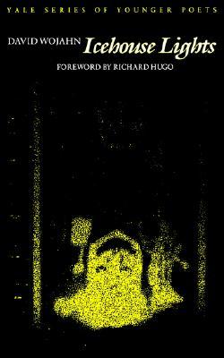Icehouse Lights (Hardcover)
