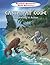 Castaway Code: Sequencing in Action (Mandrill Mountain Math Mysteries)
