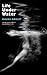Life under Water by Maura Dooley