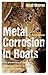 Metal Corrosion in Boats: The Prevention of Metal Corrosion in Hulls, Engines, Rigging and Fittings