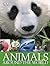 Animals Around the World