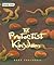 The Protoctist Kingdom