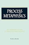 Process Metaphysics: An Introduction to Process Philosophy