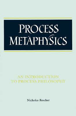 Process Metaphysics: An Introduction to Process Philosophy (Paperback)