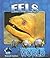 Eels (Underwater World)