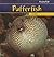 Pufferfish (Freaky Fish)