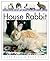 Living With A House Rabbit by Linda Dykes