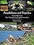 Amphibians and Reptiles: An...