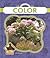 Color (First Science)