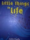Little Things in Life