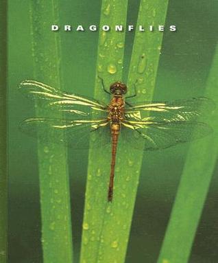 Dragonflies (World of Insects)