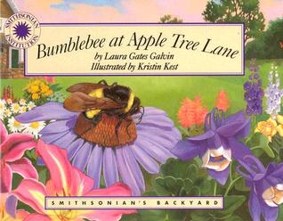 Bumblebee at Apple Tree Lane (Smithsonian's Backyard)
