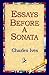 Essays Before a Sonata