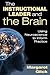 The Instructional Leader and the Brain: Using Neuroscience to Inform Practice