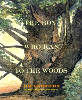 The Boy Who Ran to the Woods (Hardcover)