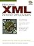Designing XML Internet Applications