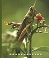 Grasshoppers (The World of Insects)