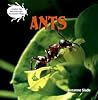 Ants (Under the Microscope: Backyard Bugs)