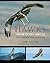 Hawks from Every Angle by Jerry Liguori Hawks from Every Angle by Jerry Liguori