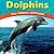 Dolphins: Fins, Flippers, a...
