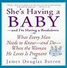 She's Having a Baby... And I'm Having a Breakdown by James Douglas Barron