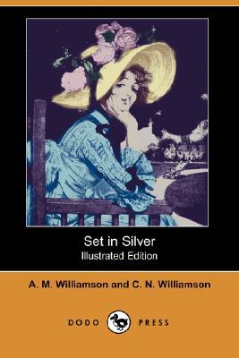 Set in Silver (Paperback)
