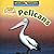 Pelicans (Let's Read About Animals)