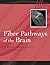 Fiber Pathways of the Brain