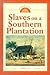 Slaves On A Southern Planta...