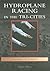 Hydroplane Racing in the Tri-Cities, Washington (Images of Sports)