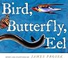 Bird, Butterfly, Eel