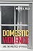 Domestic Violence and the Politics of Privacy