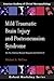 Mild Traumatic Brain Injury and Postconcussion Syndrome: The New Evidence Base for Diagnosis and Treatment (AACN Workshop Series)