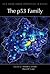 The p53 Family (Perspectives in Biology)