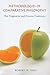 Methodologies of Comparative Philosophy: The Pragmatist and Process Traditions (Chinese Philosophy Culture)