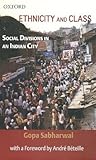 Ethnicity and Class: Social Divisions in an Indian City