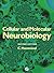 Functional Neurobiology of Aging