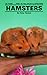 Hamsters