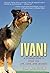 Ivan! by Tim McHugh