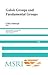 Galois Groups and Fundament...