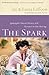 The Spark by Jay Laffoon