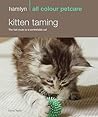 Kitten Taming by David    Taylor