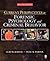 Current Perspectives in Forensic Psychology and Criminal Behavior