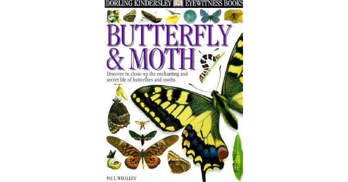 DK Eyewitness Books Butterfly and Moth by Paul Whalley