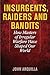 Insurgents, Raiders, and Bandits by John Arquilla