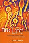 First Life: Disco...