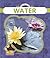 Water (First Science)
