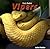 Vipers (Scary Snakes)